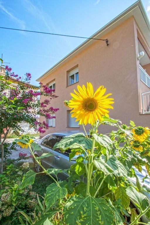 Apartman Nena קריקווניצה מראה חיצוני תמונה